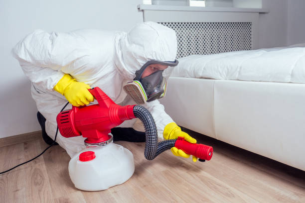 Professional Pest control in Wrightsville, AR